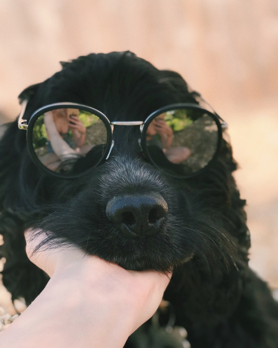 Processed with VSCO with c1 preset